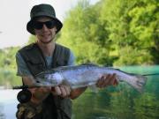 Rainbow trout Sava